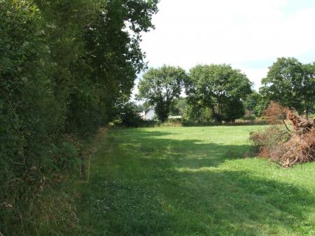 Terrain avant 